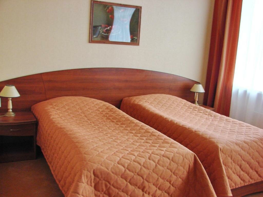 Гостиница Парк Отель Дубна-93