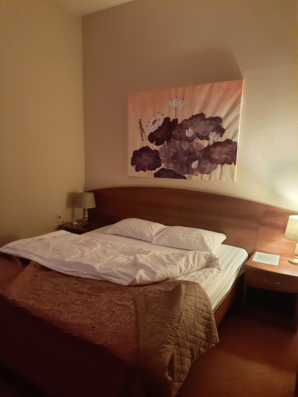 Гостиница Парк Отель Дубна