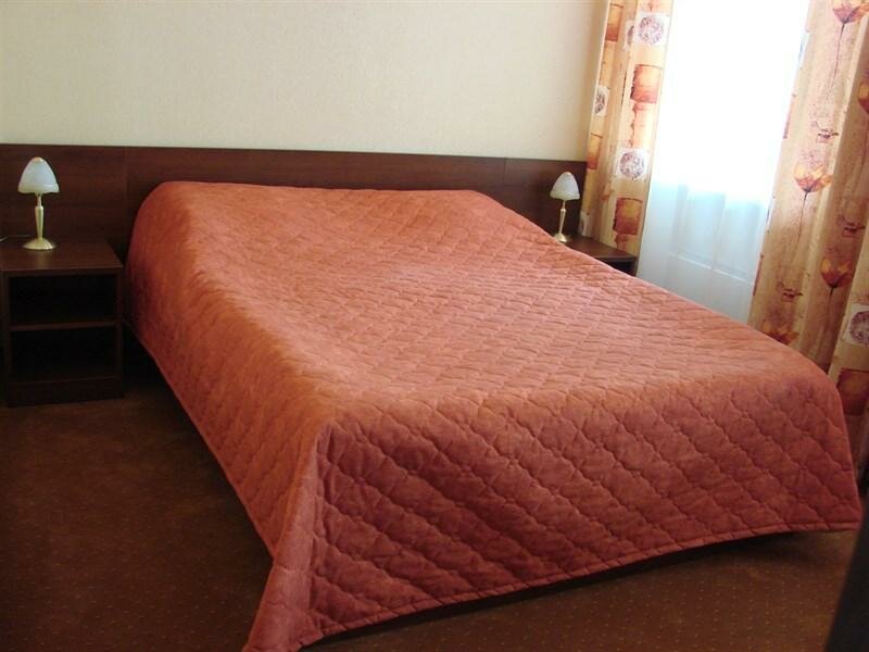 Гостиница Парк Отель Дубна-119