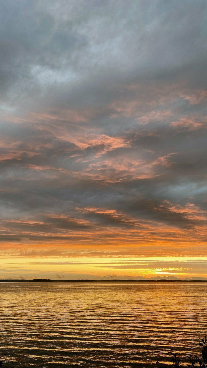 Гостиница Парк Отель Дубна