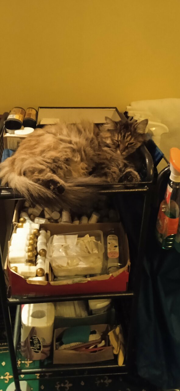 Гостиница Парк Отель Дубна-216