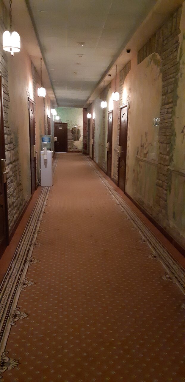 Гостиница Парк Отель Дубна-54