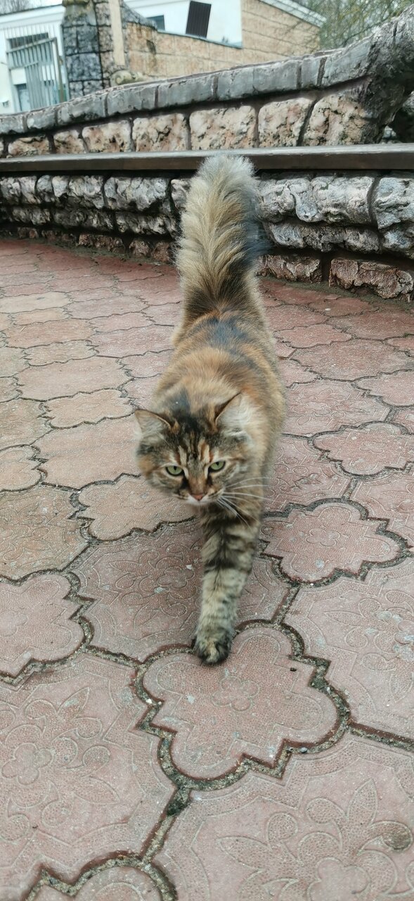 Гостиница Парк Отель Дубна-183