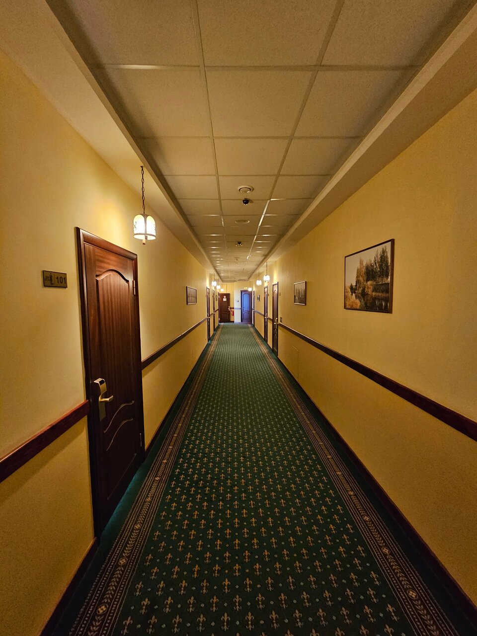 Гостиница Парк Отель Дубна-221