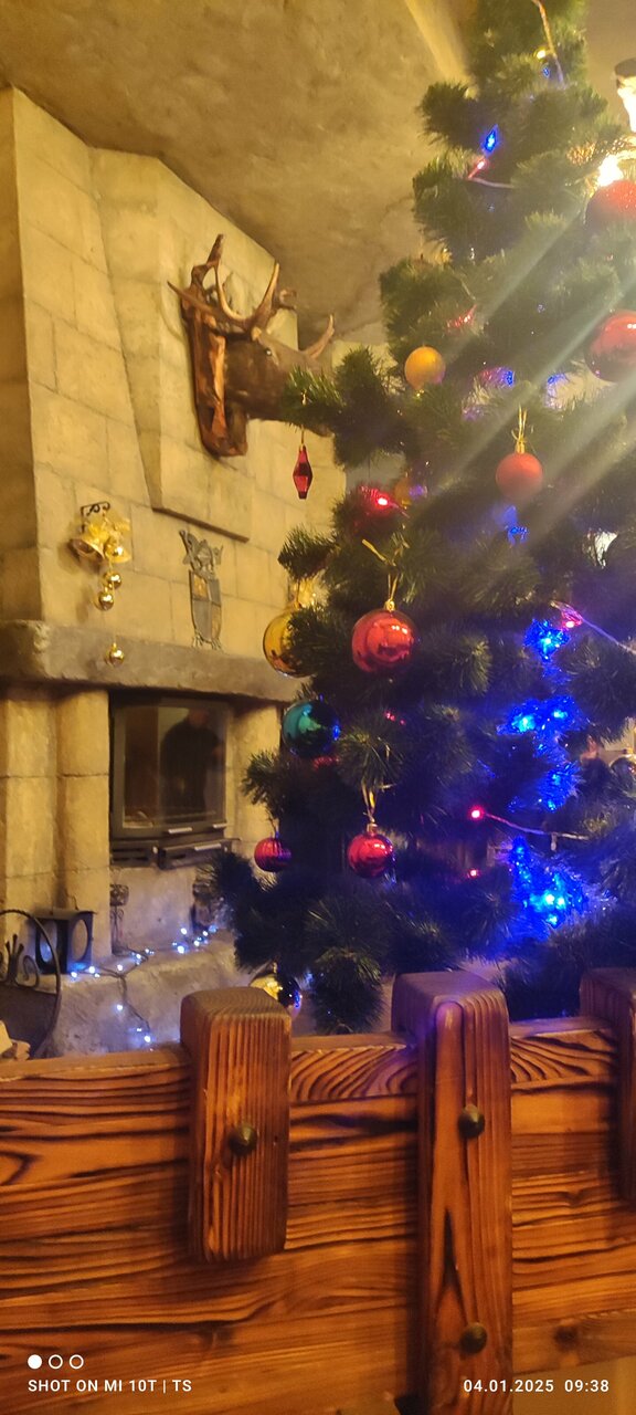 Гостиница Парк Отель Дубна-200