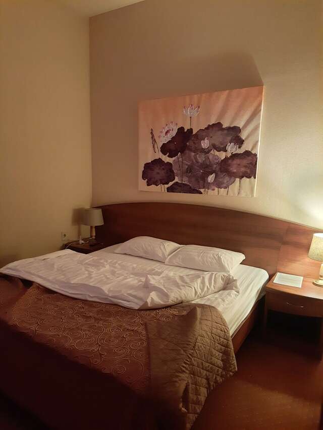 Гостиница Парк Отель Дубна-249