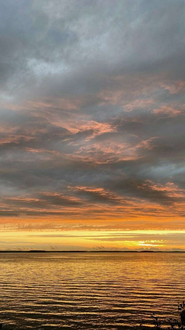 Гостиница Парк Отель Дубна-245