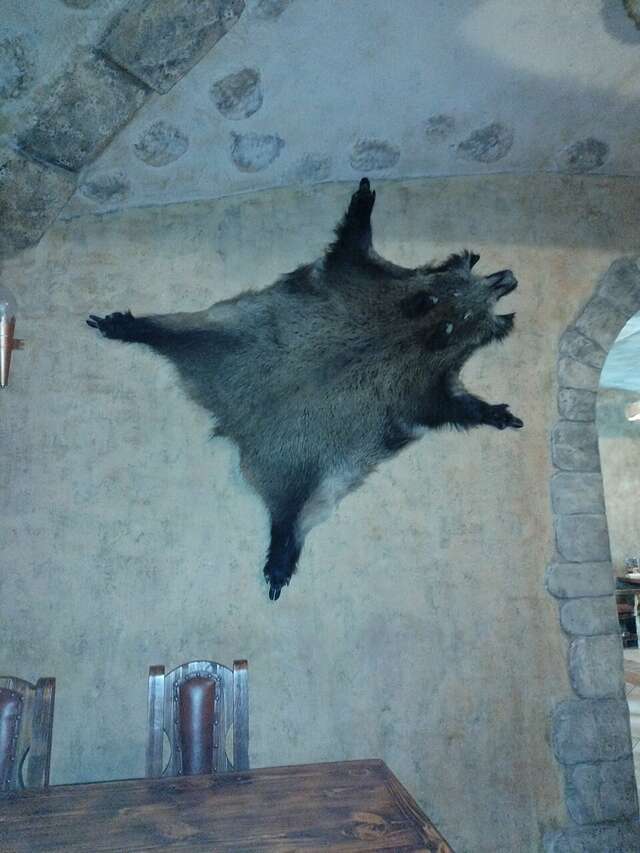 Гостиница Парк Отель Дубна-173