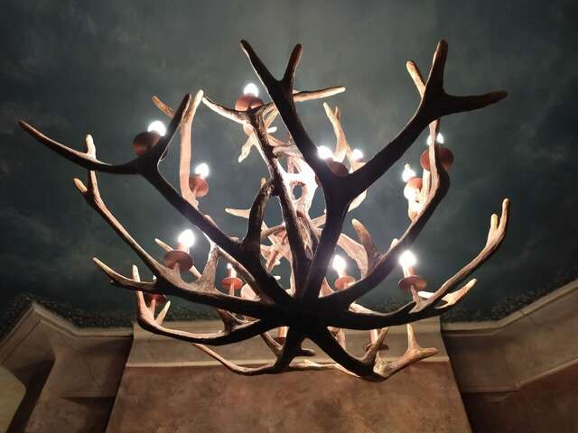 Гостиница Парк Отель Дубна-207